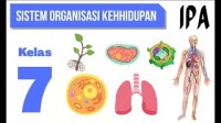 Image of Sistem Organisasi Kehidupan : IPA Kelas 7 SMP