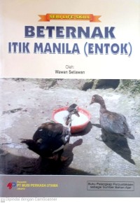 Image of Beternak Itik Manila (Entok)