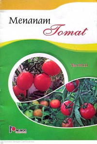 Image of Menanam Tomat