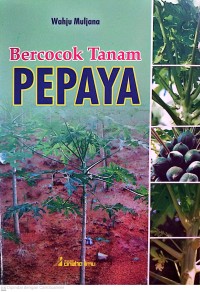 Image of Bercocok Tanam Pepaya