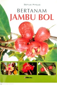 Image of Bertanam Jambu Bol